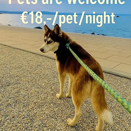 Апартаменты Csenge