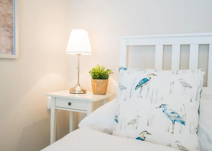 Csenge シオーフォク