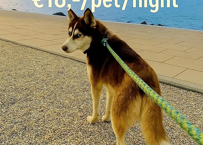 Апартаменты Csenge